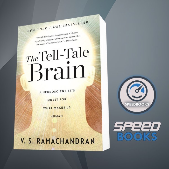 Jual Buku The Tell-Tale Brain: A Neuroscientist's Quest for What Makes ...