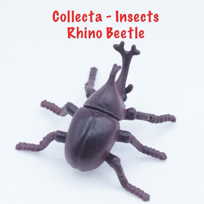 Jual Collecta A1106 Mini Insect & Spider | Rhino Beetle Kumbang Badak ...