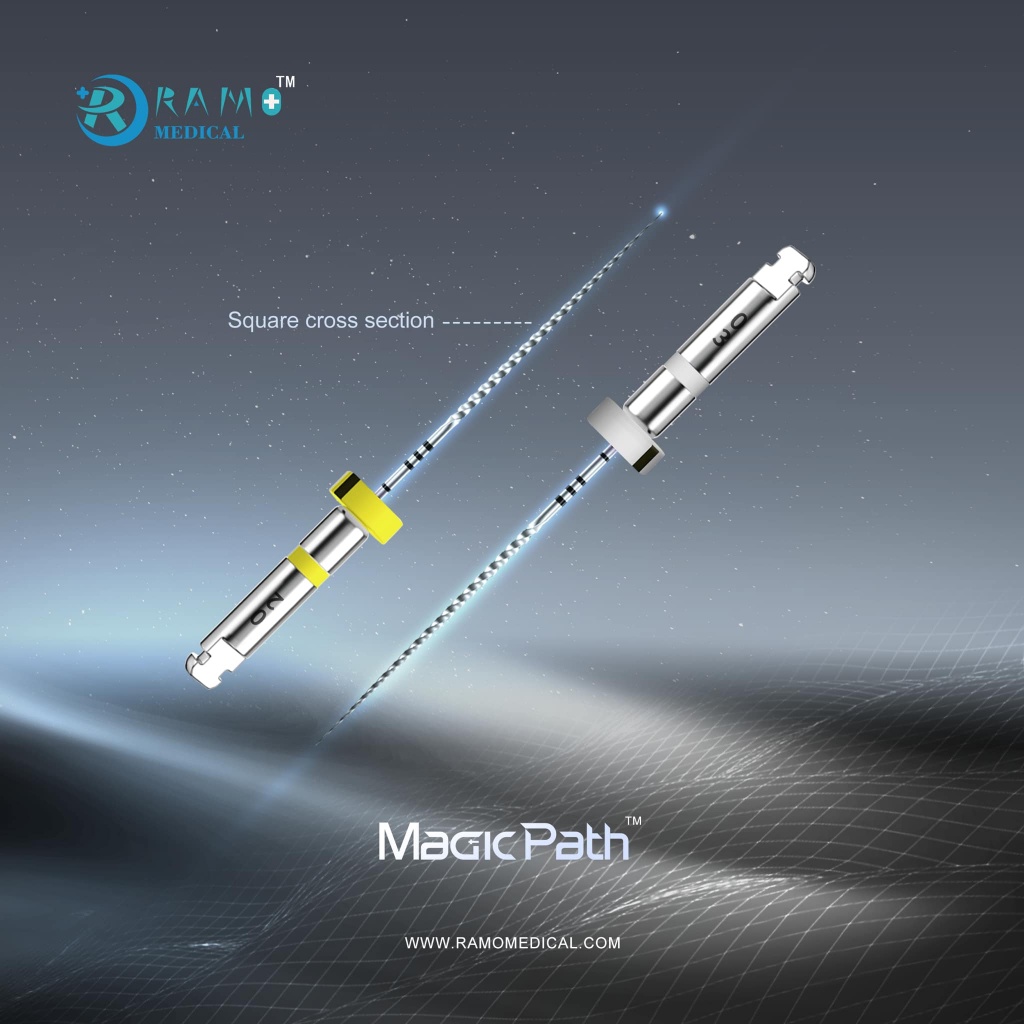 Jual RCS Magic Path 6pcs/Pack Path File File Root Canal Perawatan