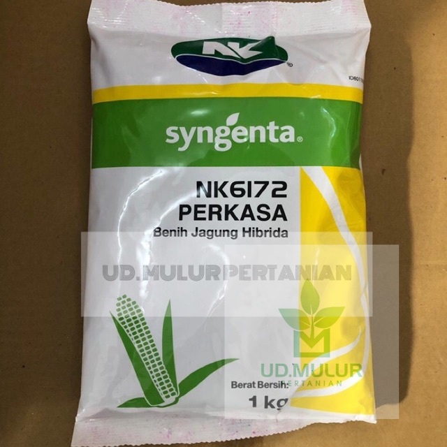 Jual Benih Jagung Hibrida NK6172 PERKASA Syngenta 1Kg | Shopee Indonesia