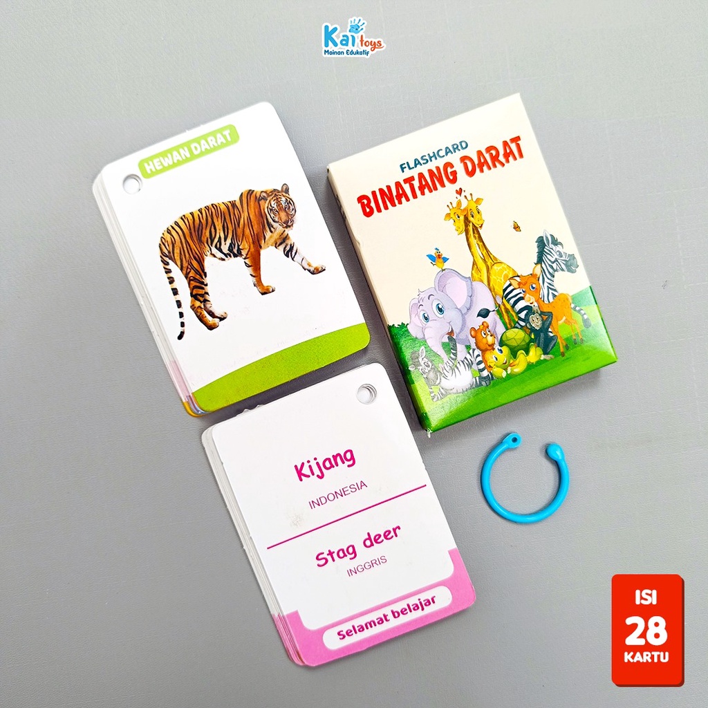 Jual Flashcard Anak / Flash Card Ring Mainan Edukasi Kartu Belajar ...