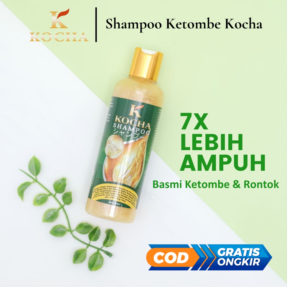 Jual Shampoo Obat Rambut Rontok Parah Dan Anti Ketombe Paling Ampuh By Kocha Bpom Shopee Indonesia 3457