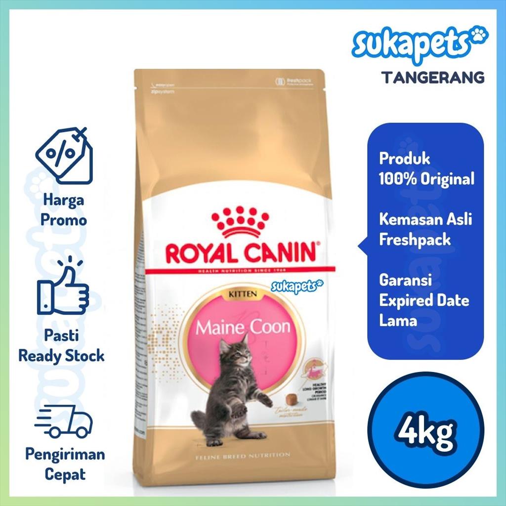 Royal canin maine top coon kitten 4kg