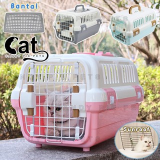 Harga hotsell cat carrier