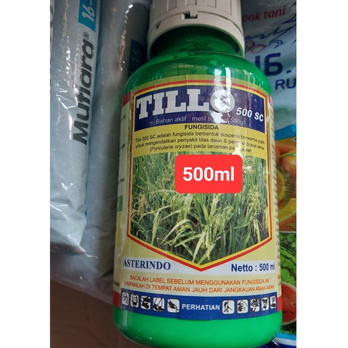 Jual Fungisida Tillo 500SC kemasan 500ml BA metil Tiofanat patah leher ...