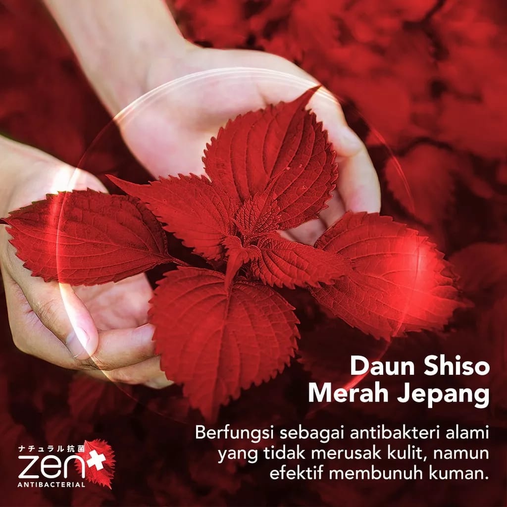 Jual ZEN Antibacterial Bar Soap 70g | Sabun Mandi | Sabun Batang ...
