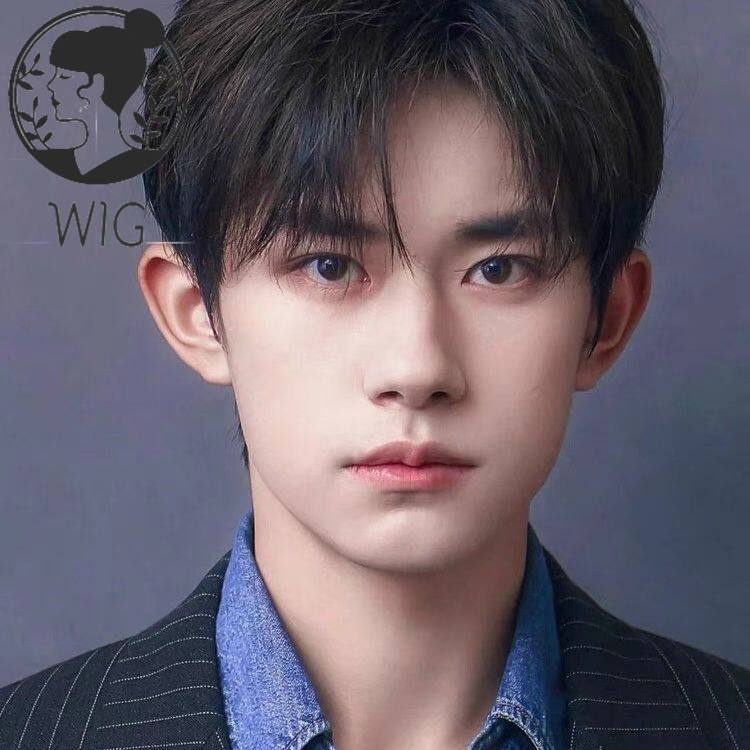 Jual Rambut palsu tampan pria dengan rambut pendek dan rambut panjang ...