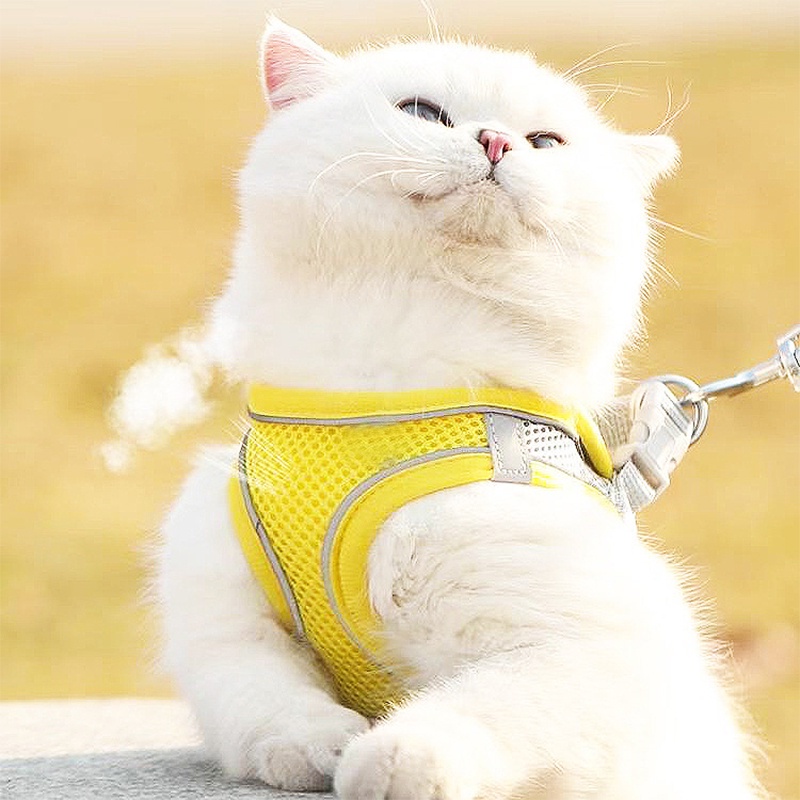 Jual Rompi kucing rompi harness tali tuntun Harness ROMPI Rompi Harness ...