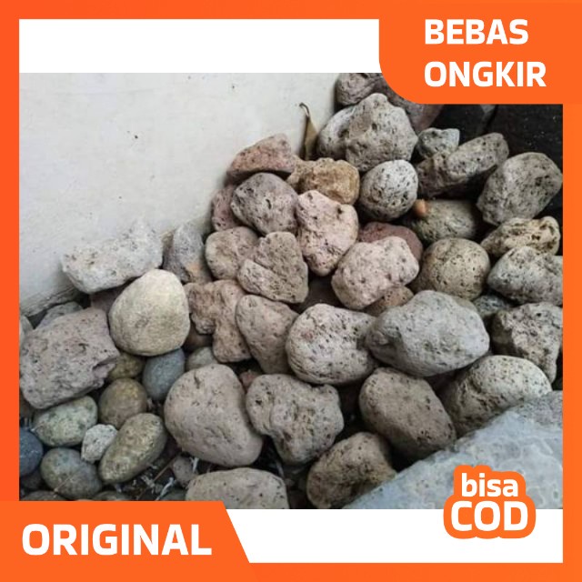 Jual Media Filter Batu Apung 1kg Batu Apung Media Filter Aquarium ...