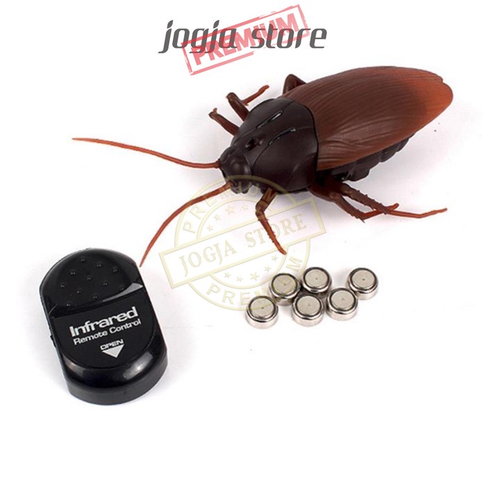Jual Mainan Prank Kecoa Remote Control Kecoak Mainan RC Prank Toy ...