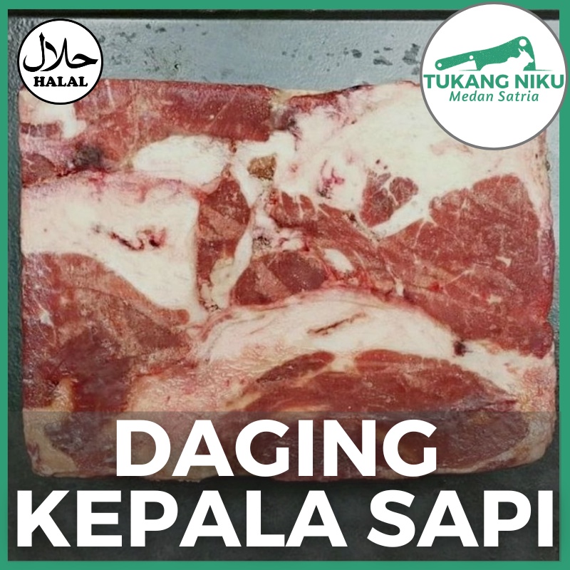 Jual Daging Kepala Sapi Segar Halal Beef Head Meat Lemak Fresh Beku