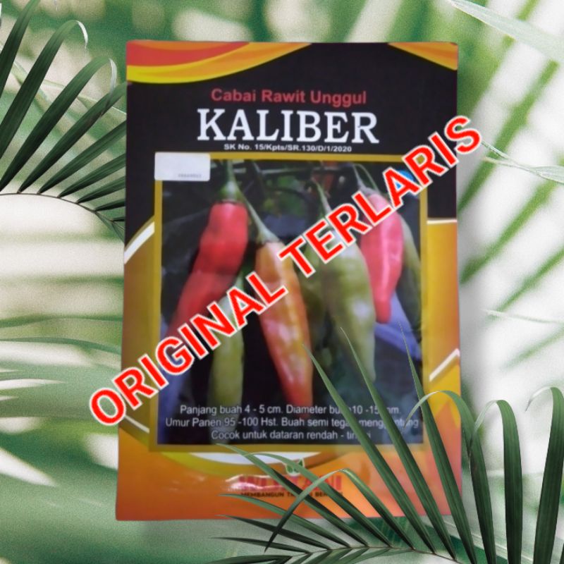 Jual Benih Cabe Rawit Kaliber Cabai Kaliber 10 Gr Kemasan Pabrik