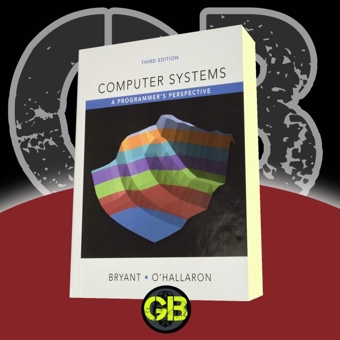 Jual Computer Systems A Programmer’s Perspective Randal E. Bryant (BOOK) Shopee Indonesia