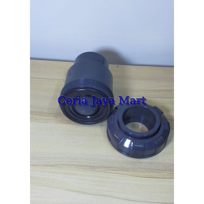 Jual Check Valve PVC 2