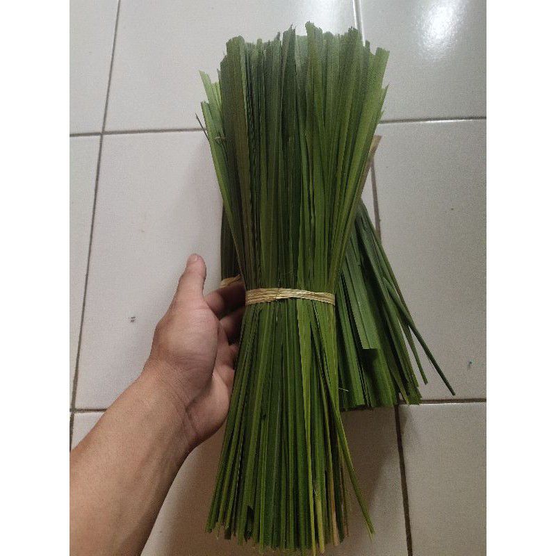 Jual Daun alang alang atau ilalang segar 1kg | Shopee Indonesia