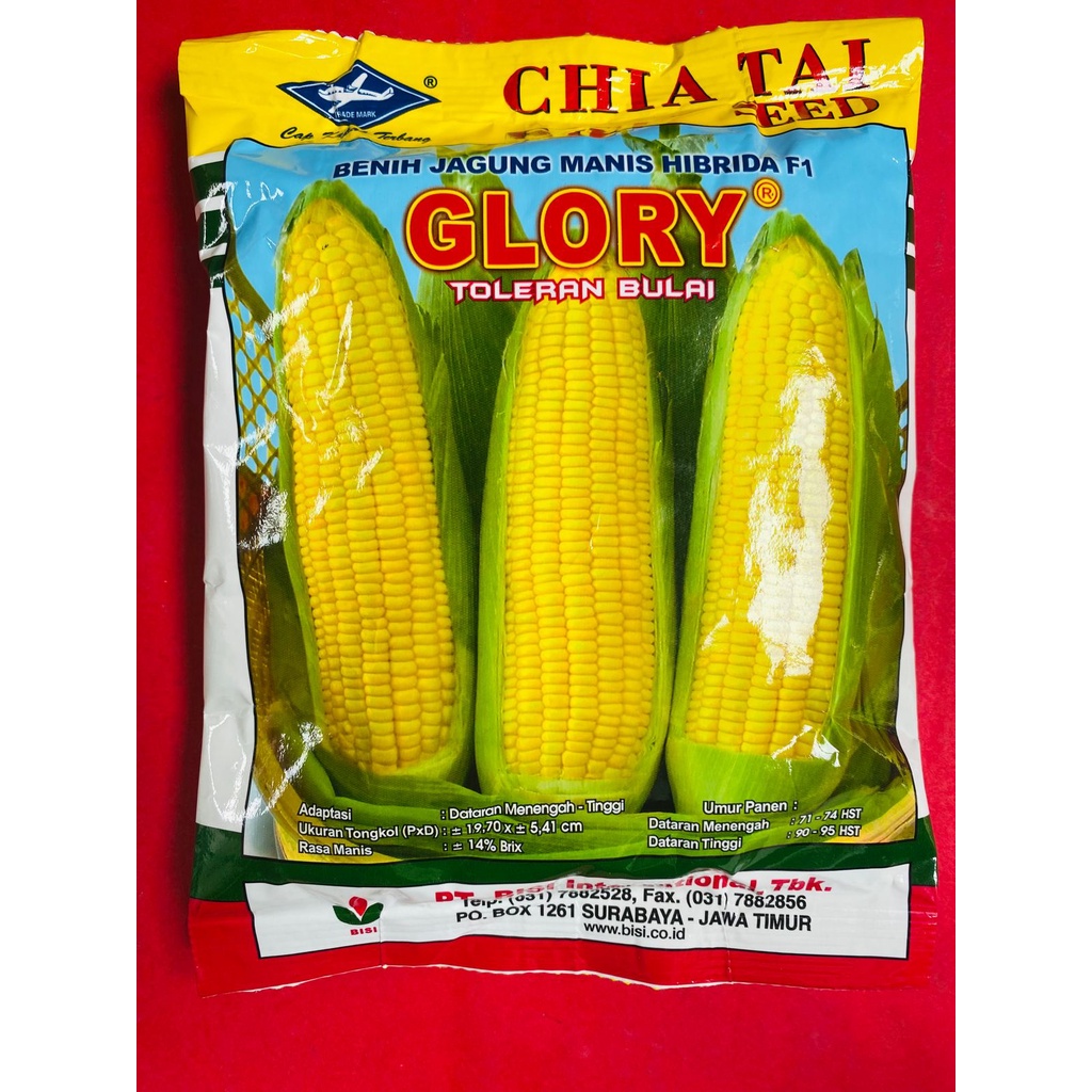 Jual Benih Jagung Manis Dataran Rendah Glory Hibrida F1 Isi 250gr Dari Cap Kapal Terbang 2759