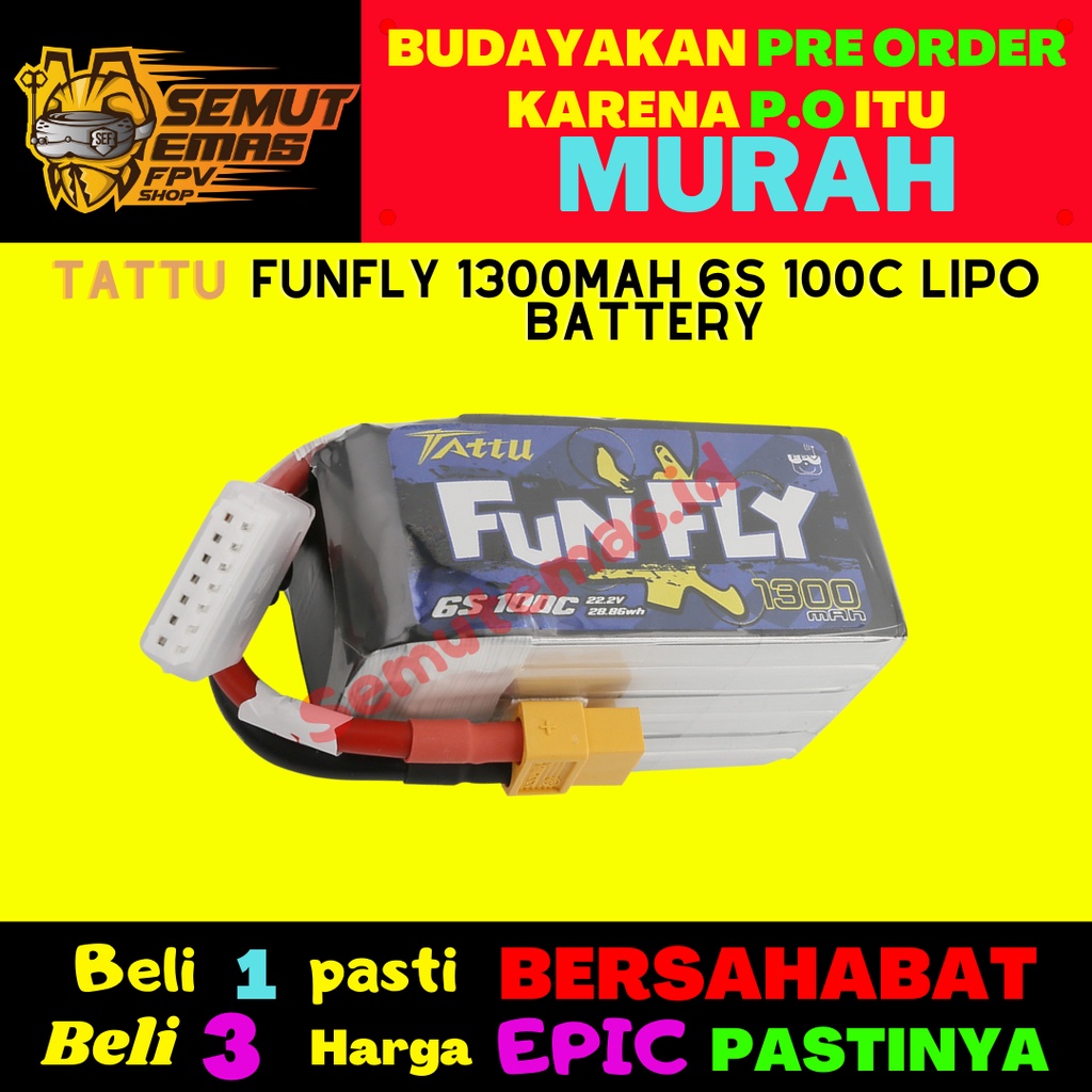 Jual Tattu FunFly 1300mAh 100C 22.2V 6S Lipo Battery XT60 Plug | Shopee ...