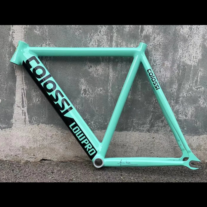 Jual Colossi LOWPRO Track Frame sepeda Single gear fixie Jual Colossi LOWPRO Track Frame sepeda Single gear fixie