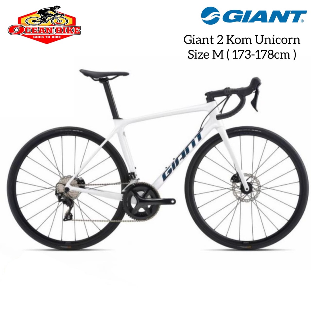 Jual giant hot sale tcr advanced