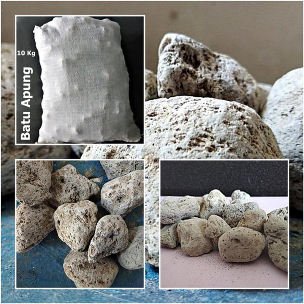 Jual Batu apung 10 Kg kolam / media filter batu apung 10 kg | Shopee ...