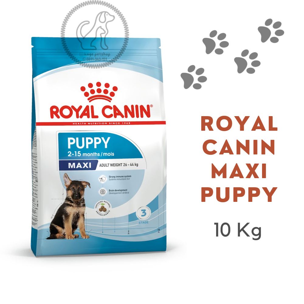 Royal canin maxi puppy hotsell 10 kg