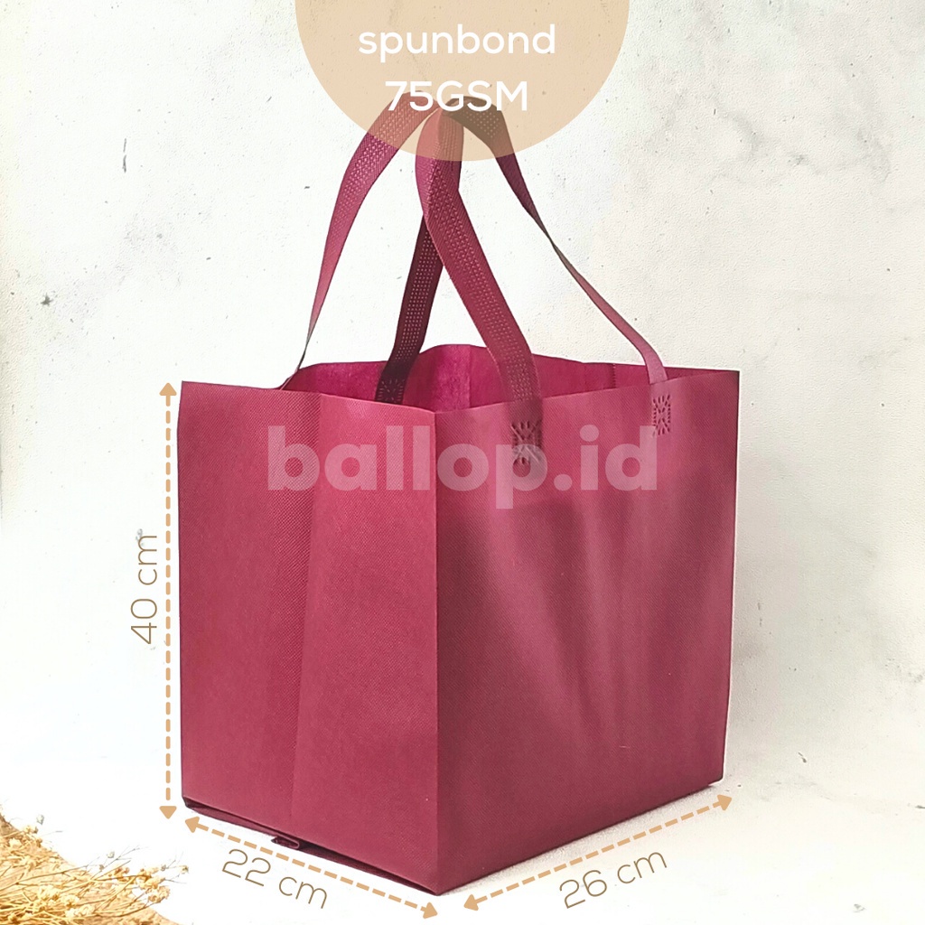 Jual SPUNBOND 26 22 40 CM Tas Cake Roti Box Kue Bag Eco Friendly Polos ...