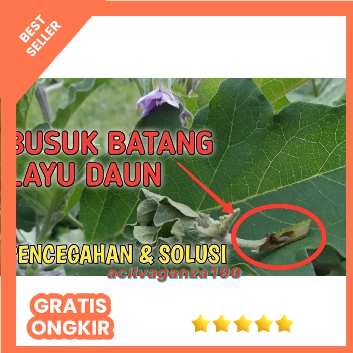 Jual Fungisida Hayati Tricoderma Cair Pupuk Trichoderma Untuk Busuk Buah Shopee Indonesia