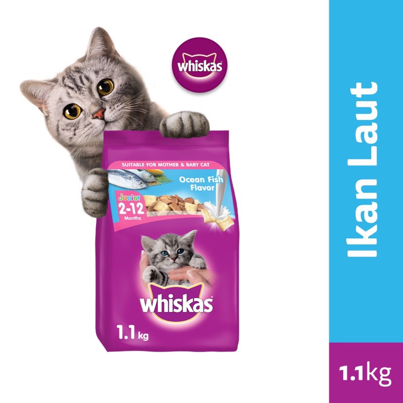 Jual WHISKAS KERING UNTUK JUNIOR 1.1KG Makanan Kucing Kering Ukuran 1