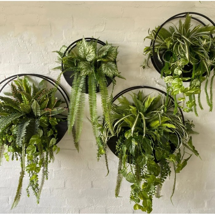 Jual Wall Planter Half Moon Rak Besi Tanaman Dinding Dekorasi Hiasan ...