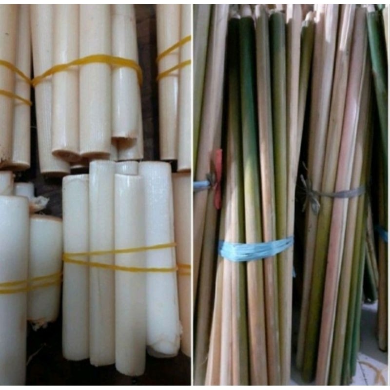Jual batang pohon kecomrang segar per 1 kilo/ batang honje/ cekala ...