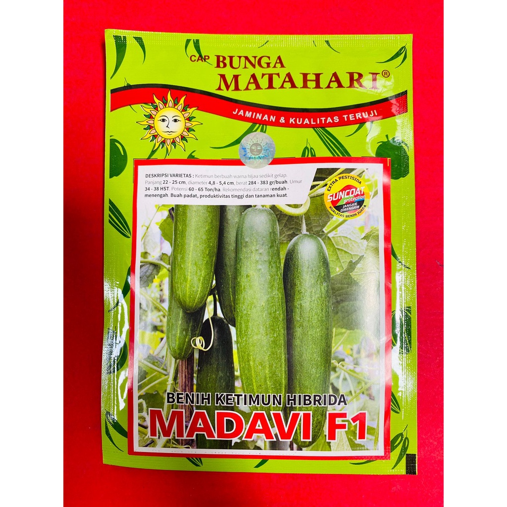 Jual Benih mentimun hijau gelap MADAVI isi 20gr dari BUNGA MATAHARI ...