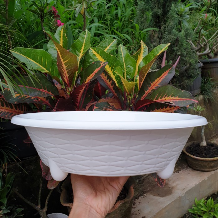 Jual (1pc) BJP BONSAI BULAT 06 (35cm) : pot bunga bonsai bulat ceper ...