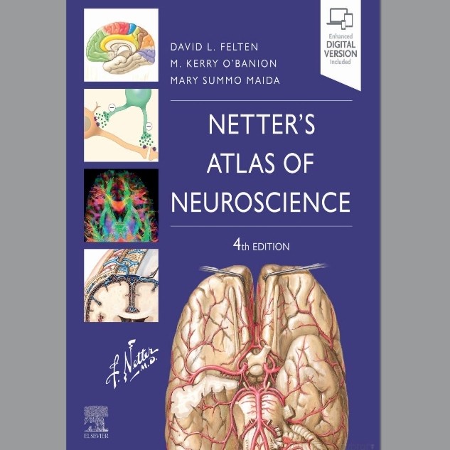 Jual Buku Netter's Atlas of Neuroscience, | Shopee Indonesia