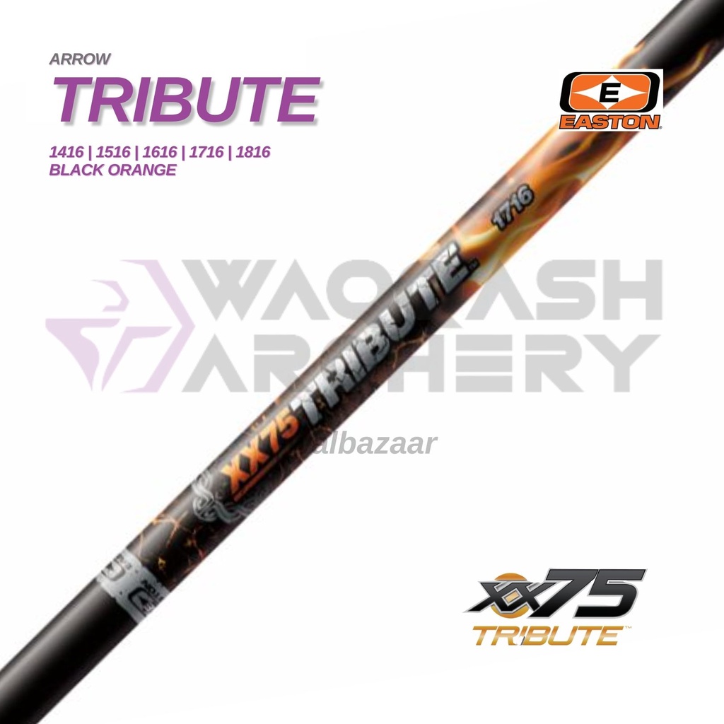 Easton XX75 Magnum Bolt 22 Punta Da 10,2 Cm, Moon Nock 2219, 6 Pezzi, Frecce Per Tiro Con L'arco
