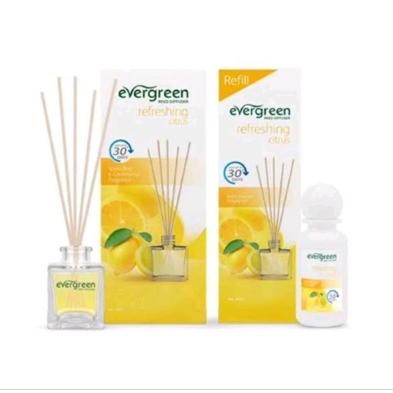 Jual Pengharum Ruangan Evergreen/Evergreen Reed Diffuser 30ml + Refill ...