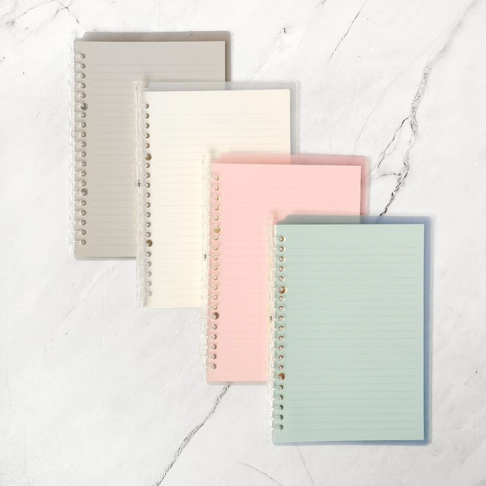 Jual Panmomo Slim File Binder Notebook / Buku Binder Transparan A5-B5 ...