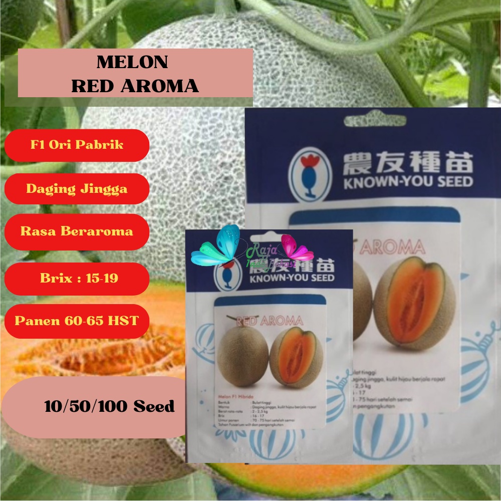 Jual BENIH F1 Melon RED AROMA Repack 10 & 50 Biji KYS ORI Melon Premium ...