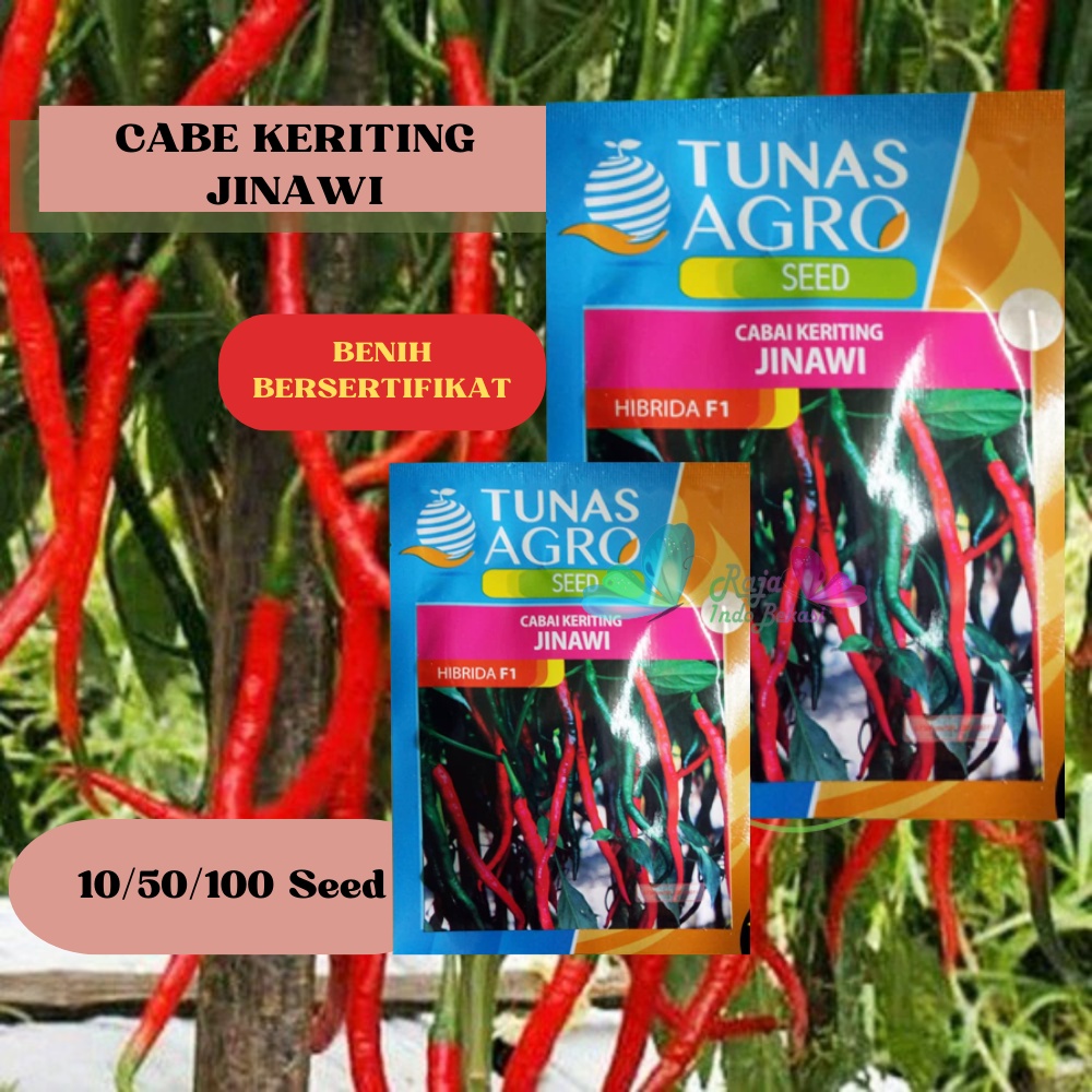 Jual Biji Benih Cabai Keriting Jinawi F Ori Repack Bibit Cabe