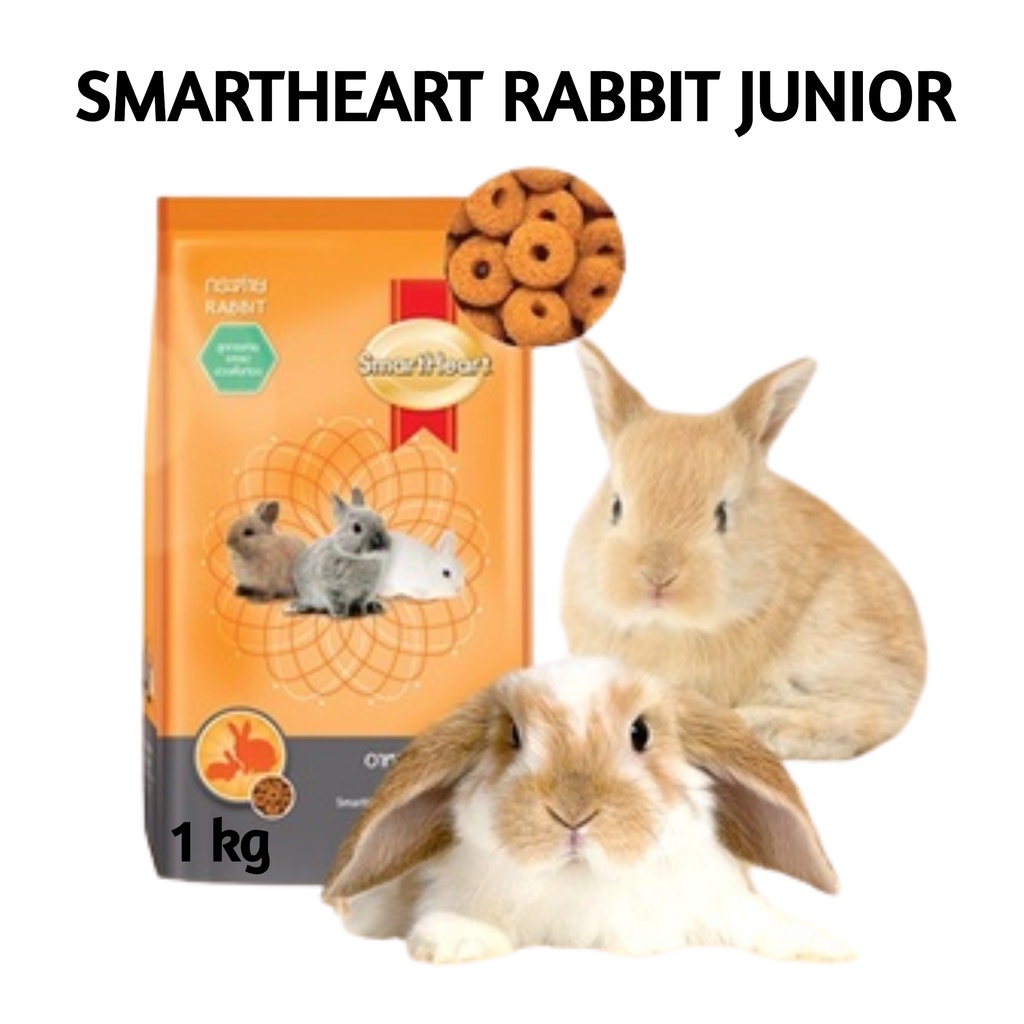 Jual SmartHeart Rabbit Food JUNIOR 1 kg Smart Heart Makanan Kelinci ...