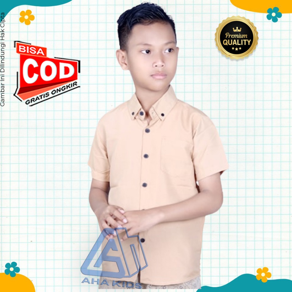 Jual Gratis Ongkir|Cod||NEW Atasan Baju Kemeja Polos Lengan Pendek