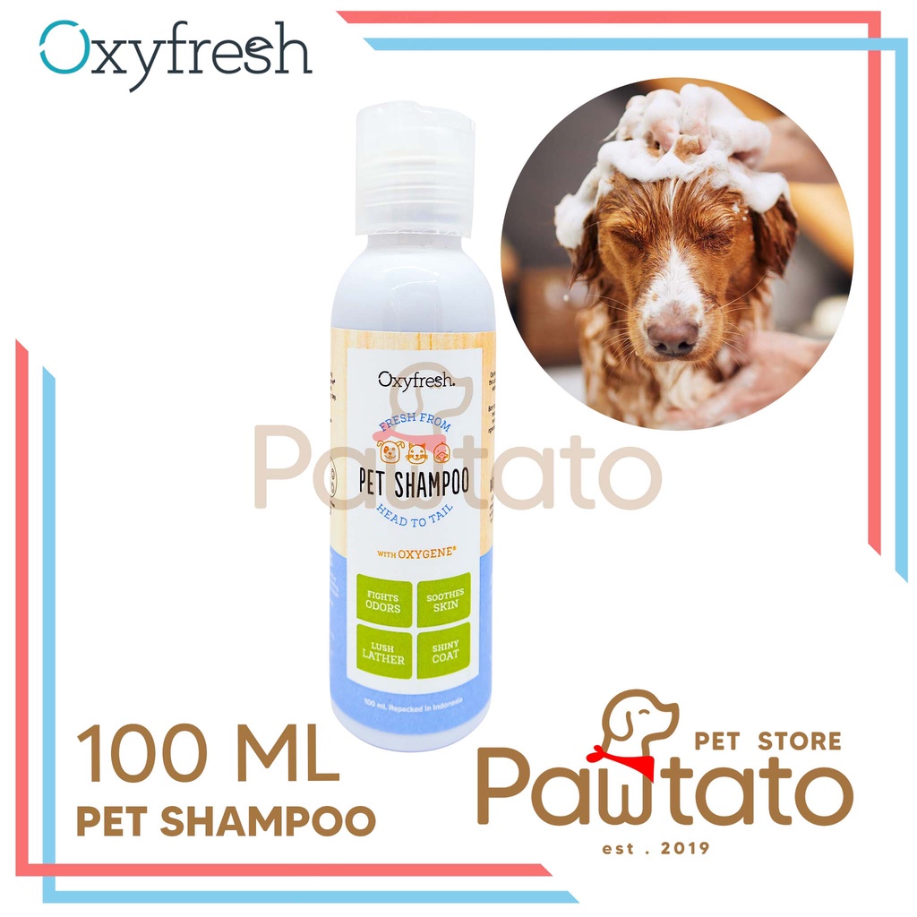 Jual Shampoo Anjing Oxyfresh 100ml Kucing Dog Cat Pet Fresh Coat Sabun ...