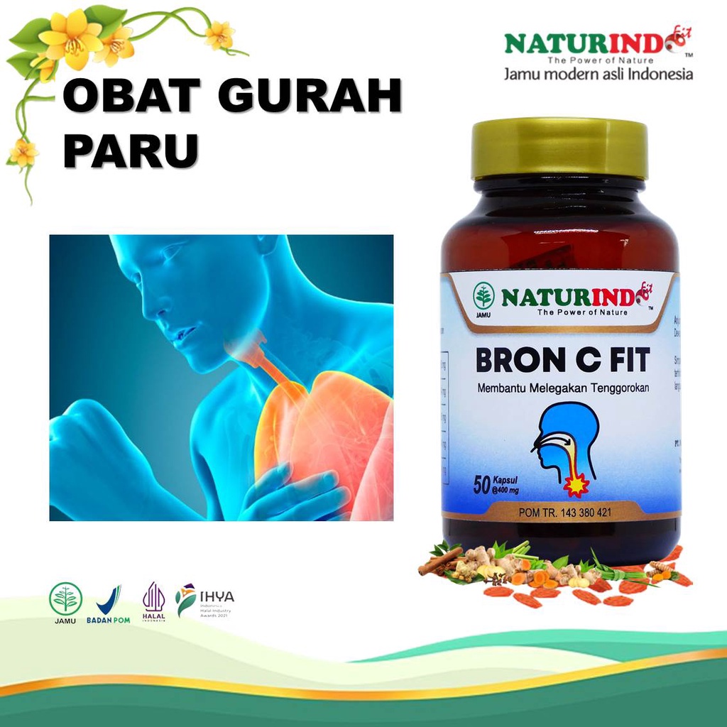 Jual Obat Gurah Paru Batuk Menahun Berdahak Berlendir Kering Nyeri ...