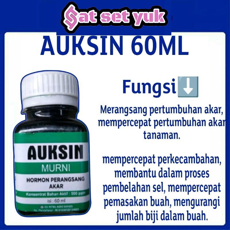 Jual AUKSIN PERANGSANG AKAR MURNI 60ML/ ZPT PERANGSANG AKAR/ HORMON ...