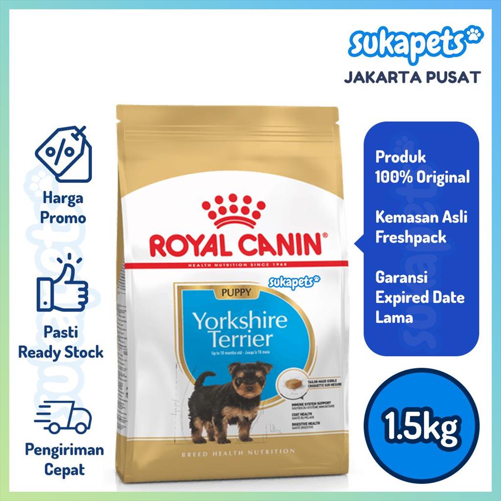 Royal canin yorkshire outlet terrier junior