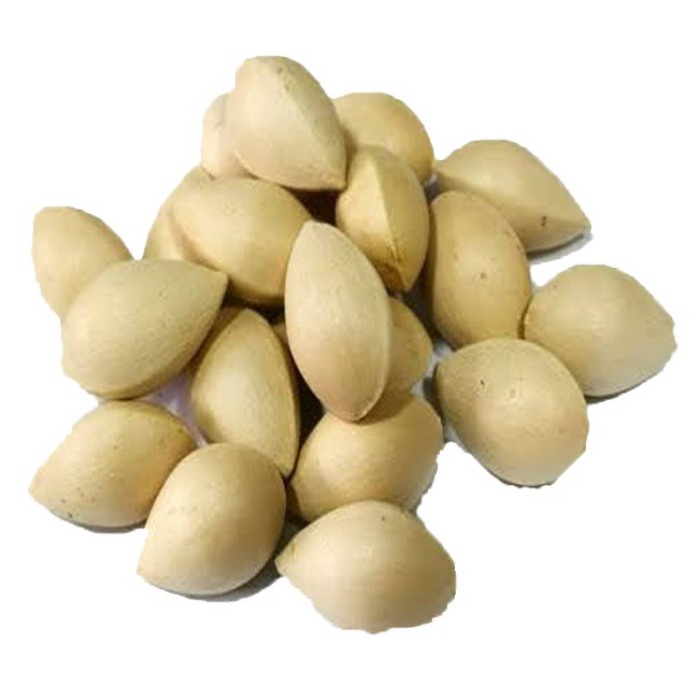 Jual KACANG GINGKO BILOBA 1/2 KG / HERBAL GINKGO NUTS / GINKO NUT 500GR