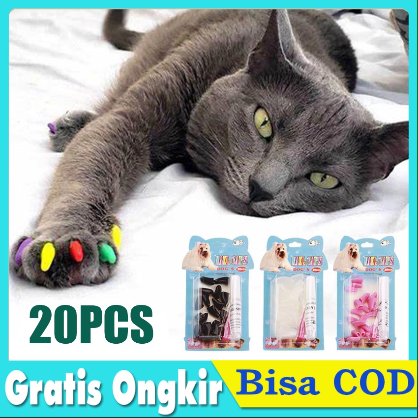 Jual Kuku Kucing Bahan Plastik isi 20 Lembut Warna-Warni Dengan Lem