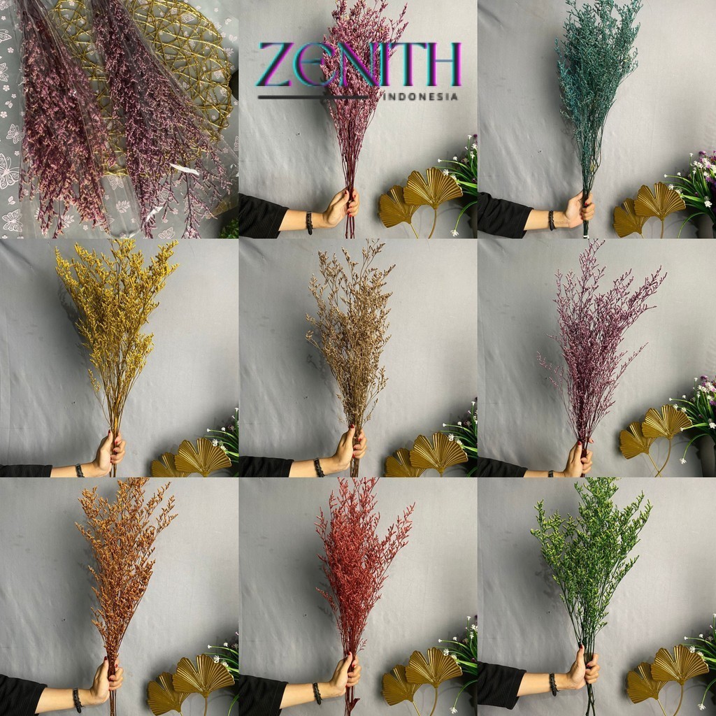 Jual Zenith - Caspea Flower Kering Import Natural Bunga Kering ...
