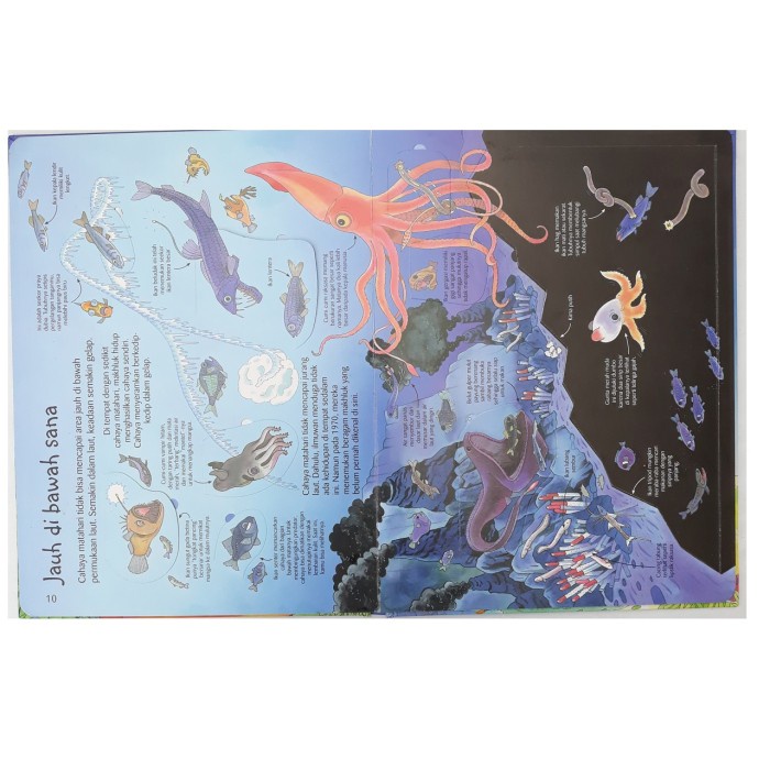 Jual Buku See Inside Lautan Terjemahan Usborne Under The Sea Lift Flap ...