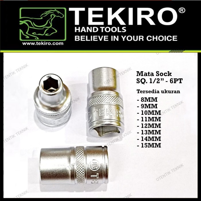 Teng Stecknuss 10mm, 1/4 Zoll Antrieb – Kurze Bauform, Matt Verchromt, Für Erhöhtes Drehmoment | ISO9000 Zertifiziert