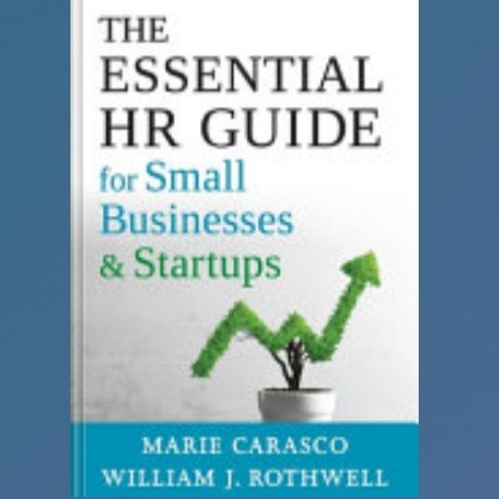 Jual Buku The Essential HR Guide for Small Businesses and Startups ...